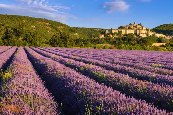 Provence - zwischen Tradition und Moderne