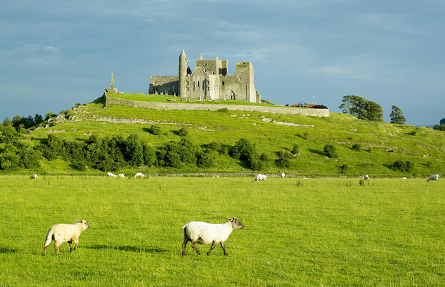 Irland ─ Fáilte grüne Insel