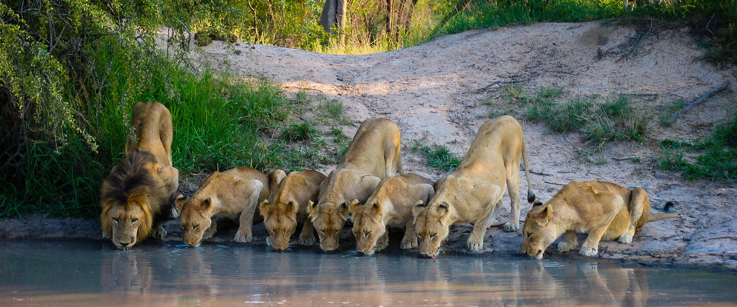 Südafrikas Küstenzauber - Zwischen Wildnis, Wein und Meer