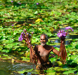 Sri Lanka - Inselträume im Indischen Ozean