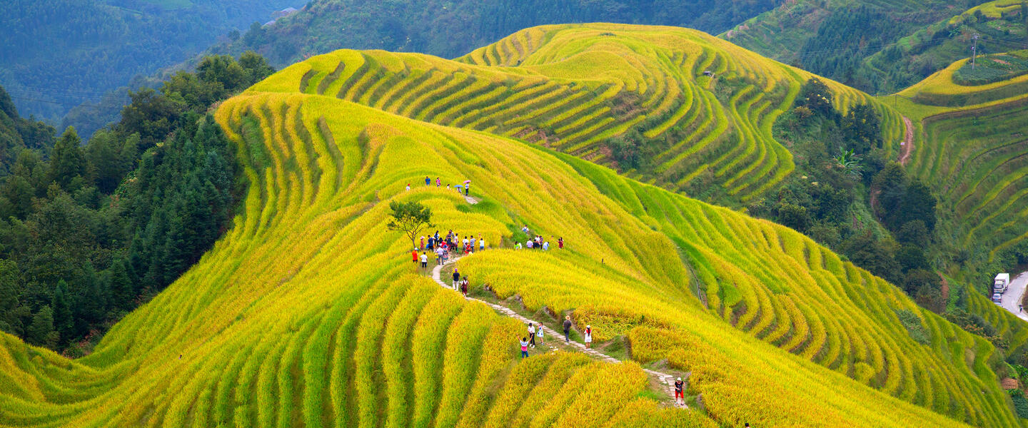 China - Tradition und Moderne