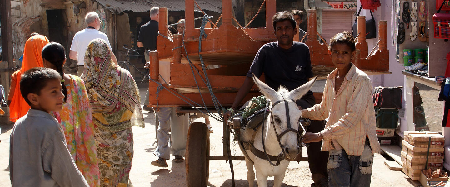 Kulturerbe Indien - Tempel und Paläste