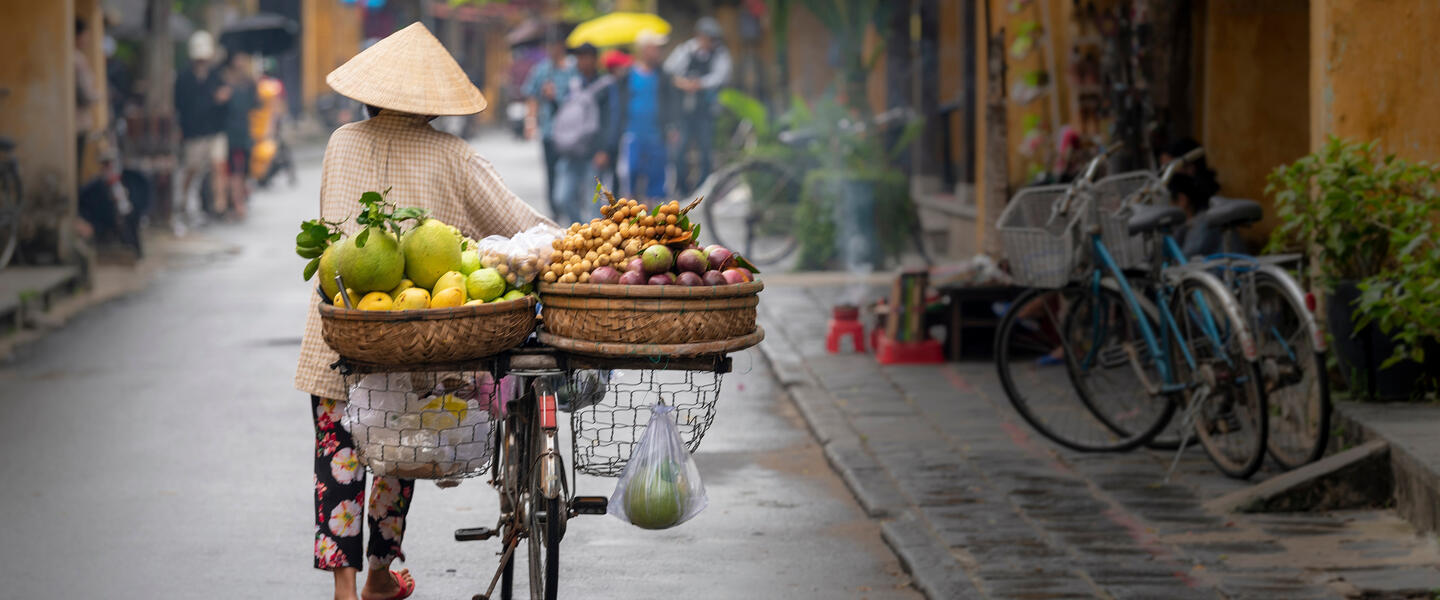 Vietnams Höhepunkte und Meer